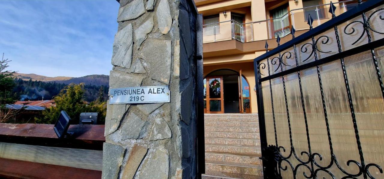Pensiunea Alex شيا المظهر الخارجي الصورة